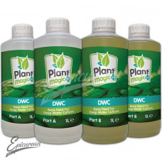 DWC (2-part) 1L